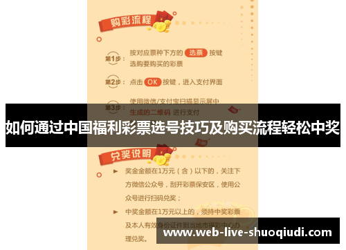 如何通过中国福利彩票选号技巧及购买流程轻松中奖