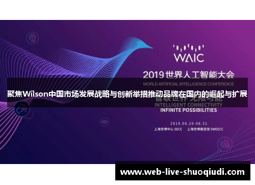 聚焦Wilson中国市场发展战略与创新举措推动品牌在国内的崛起与扩展